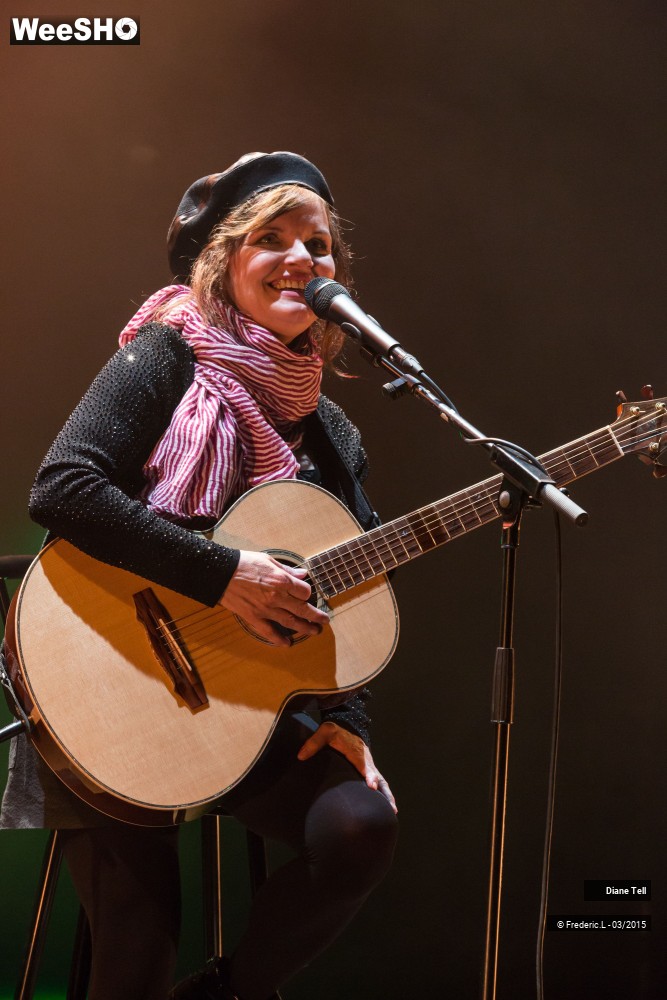 22/34 photos du spectacle Diane Tell