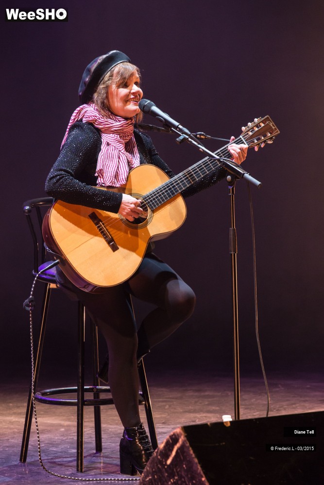 24/34 photos du spectacle Diane Tell