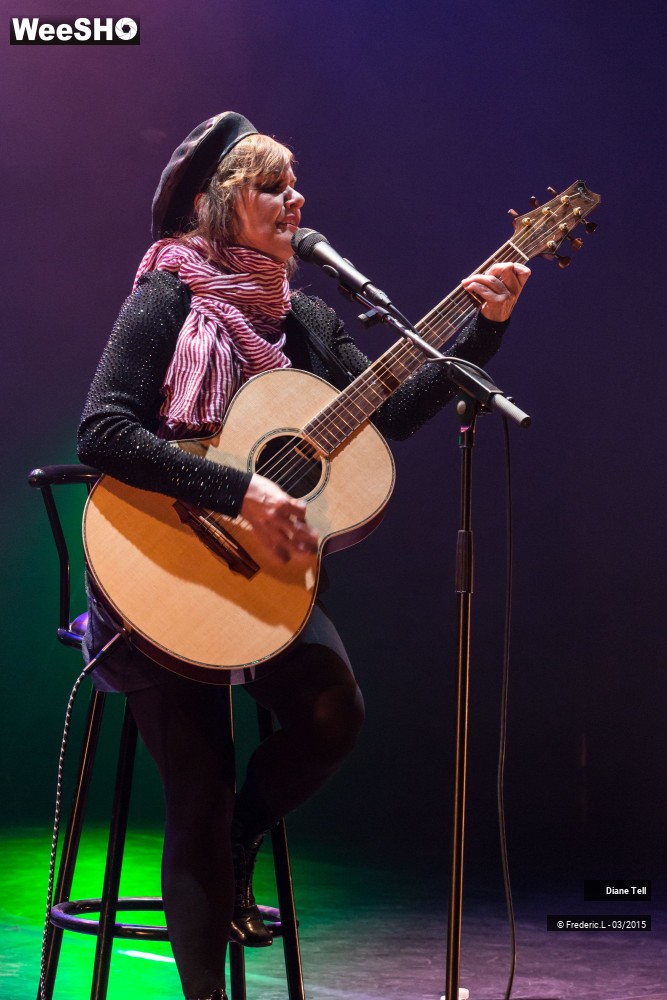 25/34 photos du spectacle Diane Tell