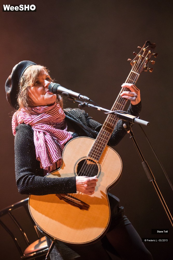 26/34 photos du spectacle Diane Tell