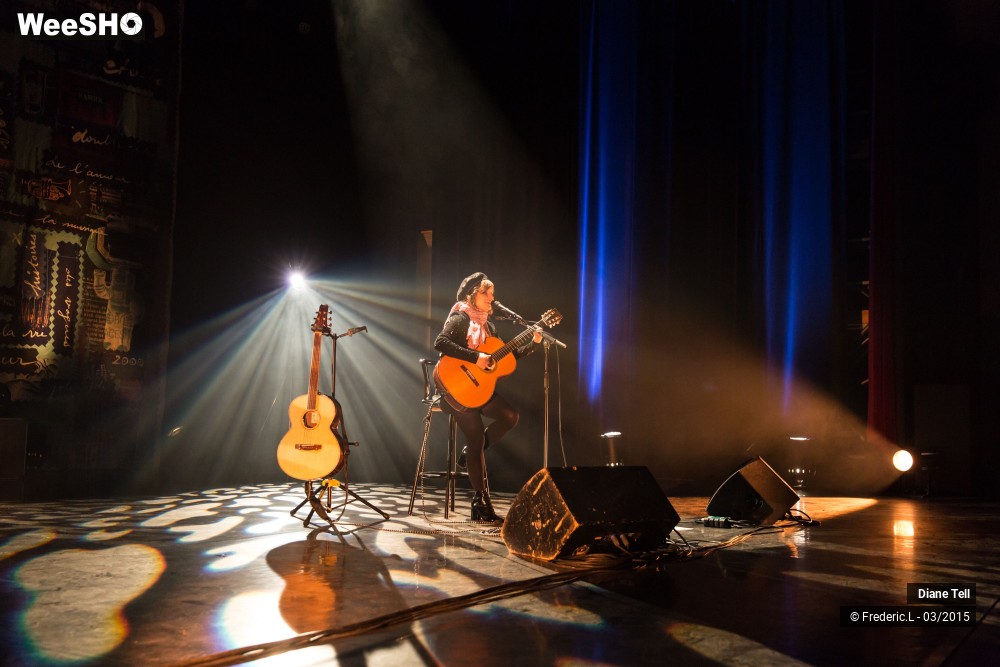 27/34 photos du spectacle Diane Tell