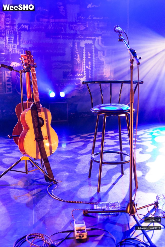 28/34 photos du spectacle Diane Tell