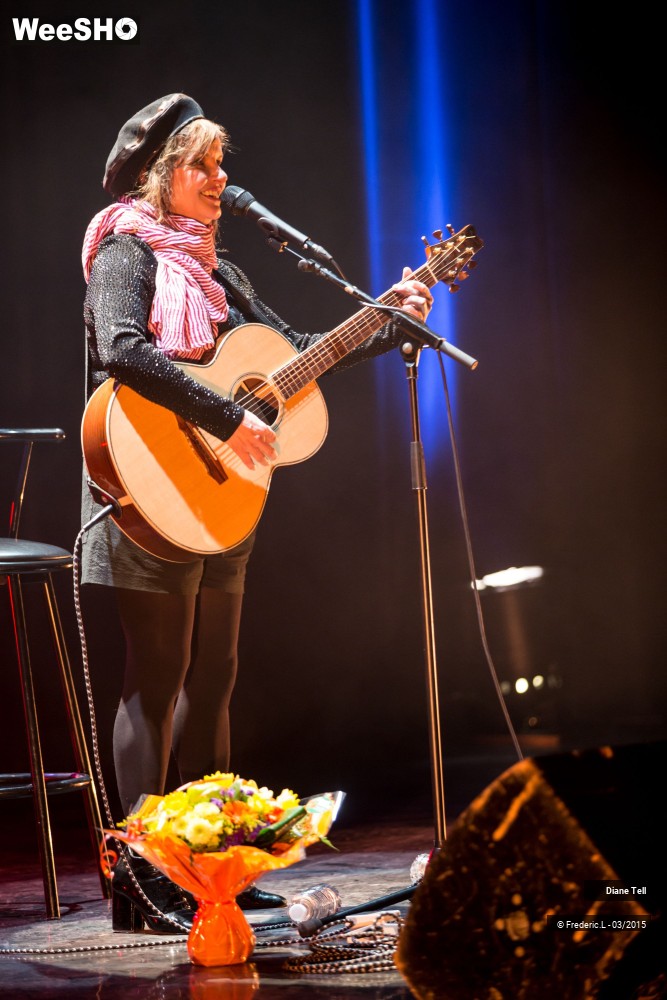 29/34 photos du spectacle Diane Tell