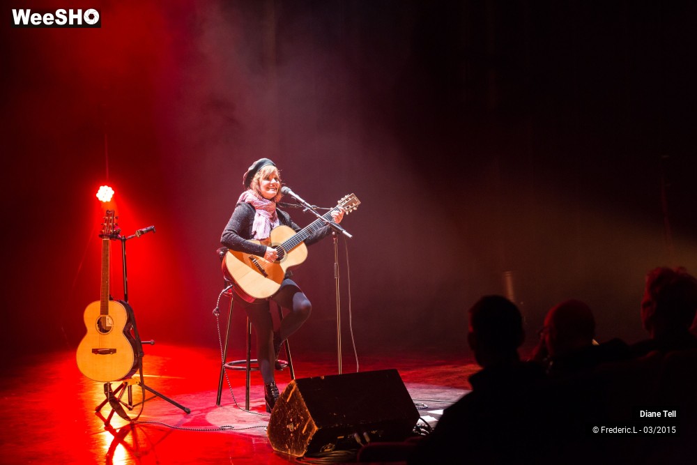 30/34 photos du spectacle Diane Tell