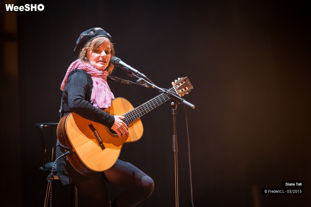 32/34 photos du spectacle Diane Tell