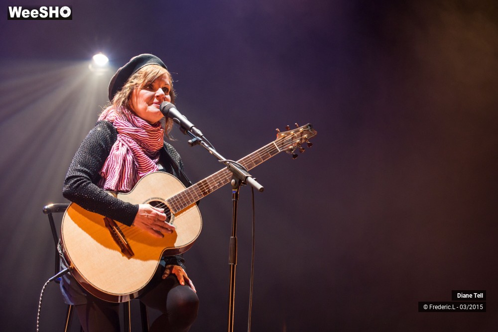 33/34 photos du spectacle Diane Tell