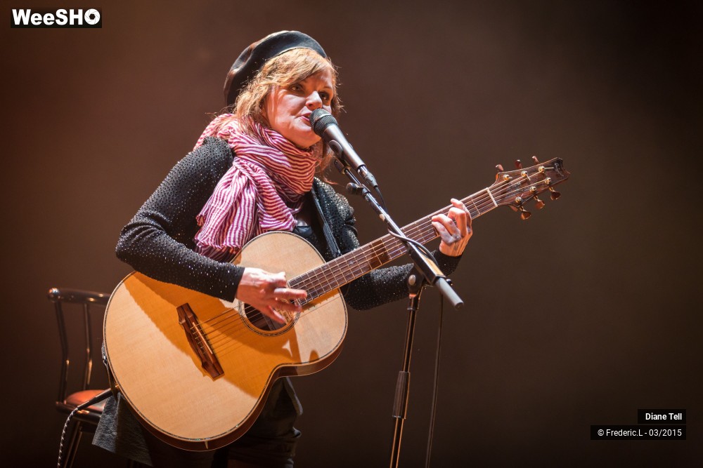 34/34 photos du spectacle Diane Tell