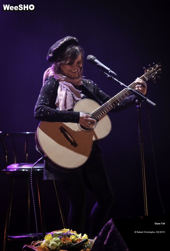 1/20 photos du spectacle Diane Tell