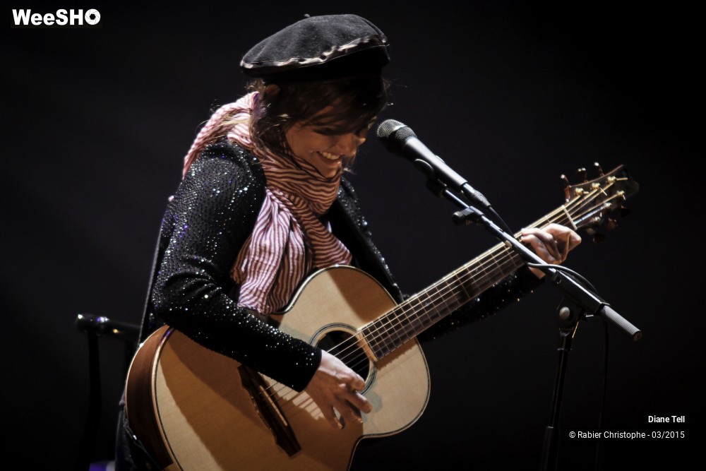 2/20 photos du spectacle Diane Tell