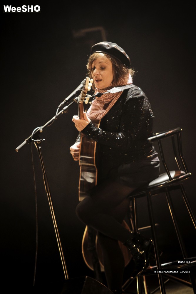 3/20 photos du spectacle Diane Tell