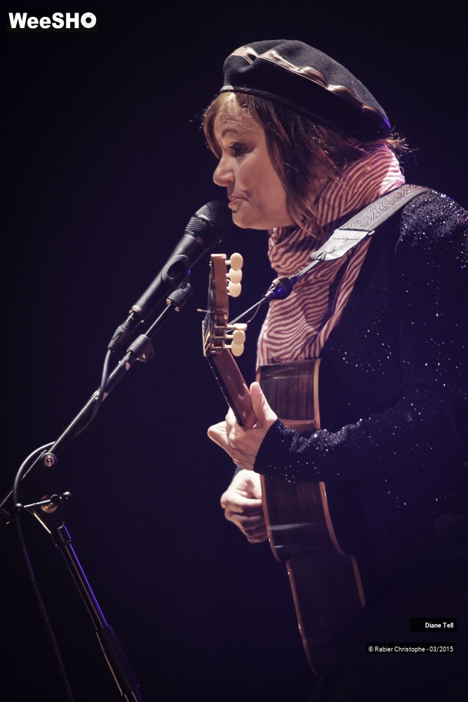 5/20 photos du spectacle Diane Tell