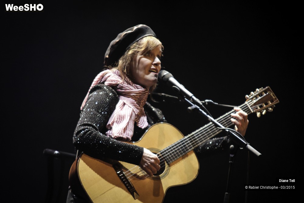 7/20 photos du spectacle Diane Tell