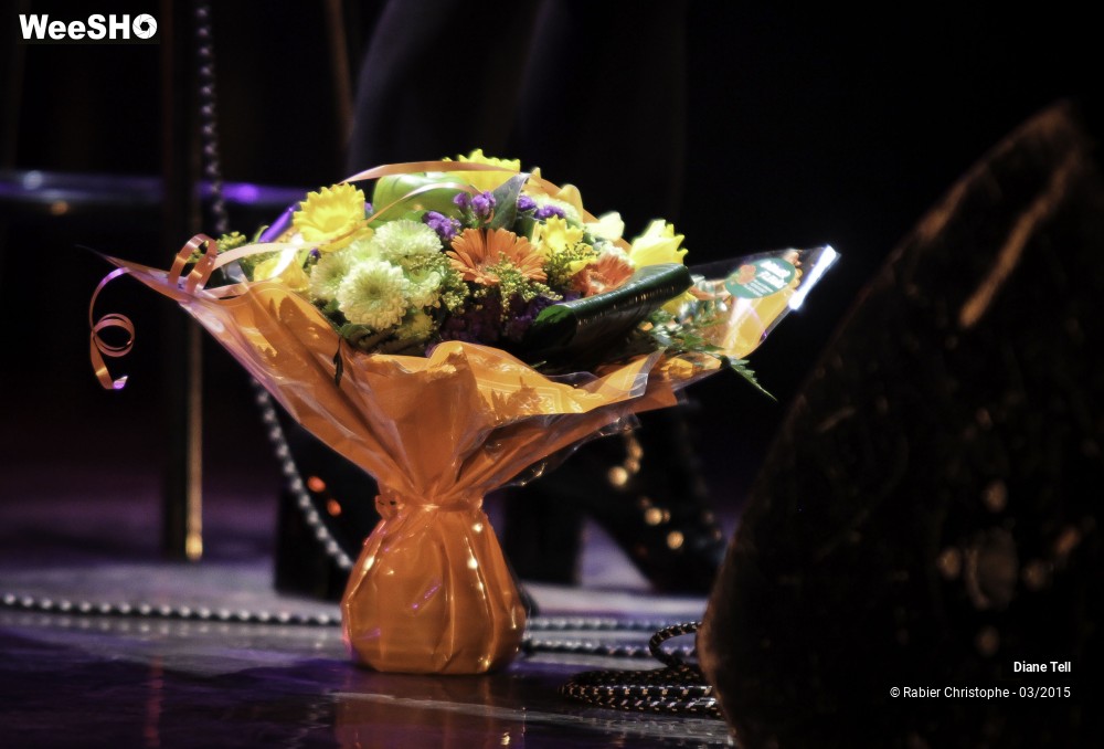 8/20 photos du spectacle Diane Tell