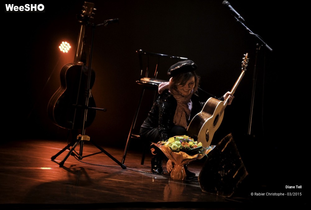 10/20 photos du spectacle Diane Tell