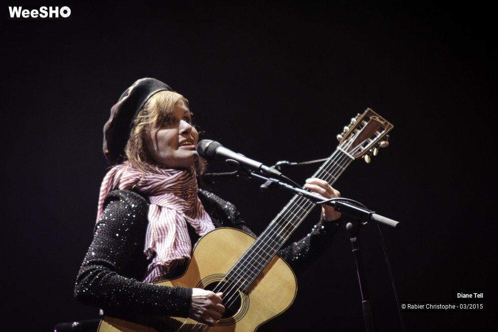 11/20 photos du spectacle Diane Tell