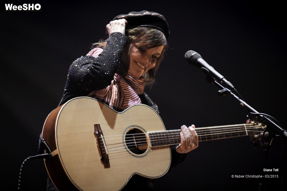 13/20 photos du spectacle Diane Tell