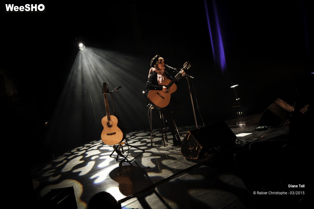 14/20 photos du spectacle Diane Tell