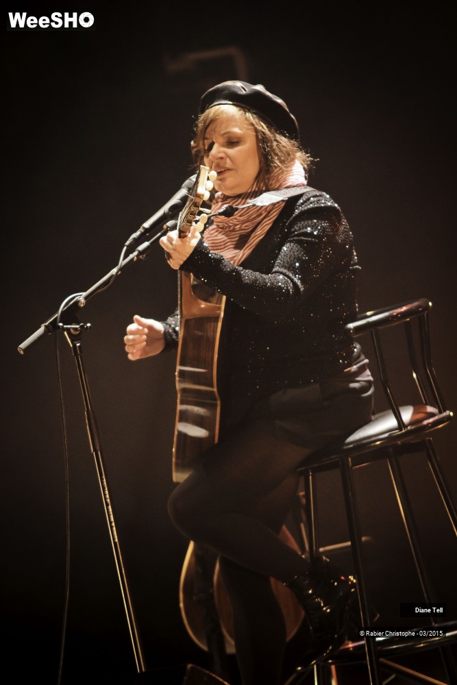 15/20 photos du spectacle Diane Tell