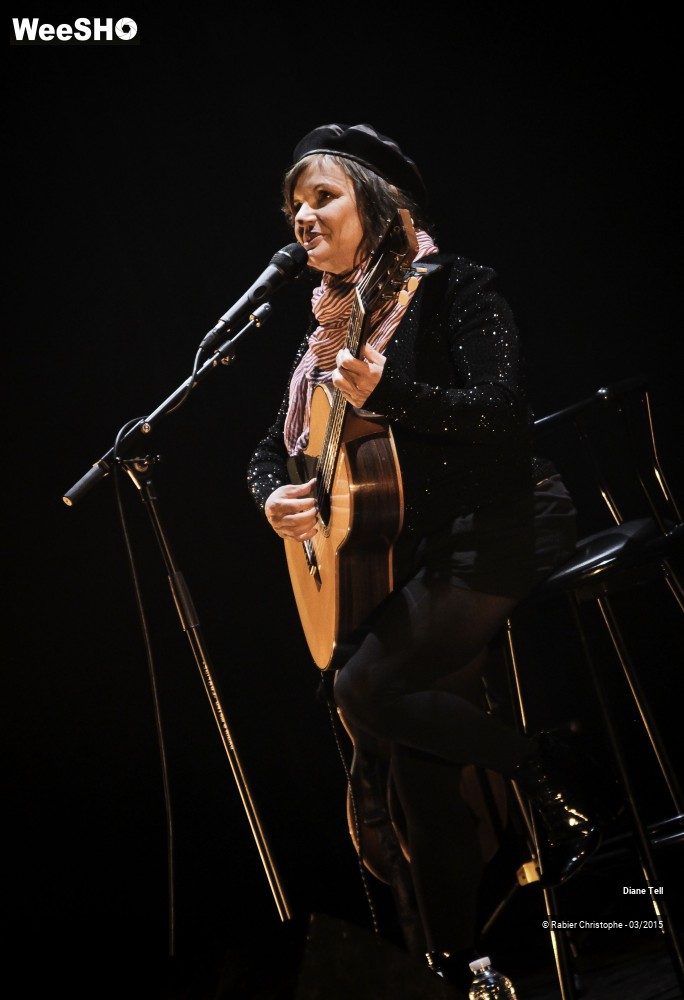 16/20 photos du spectacle Diane Tell