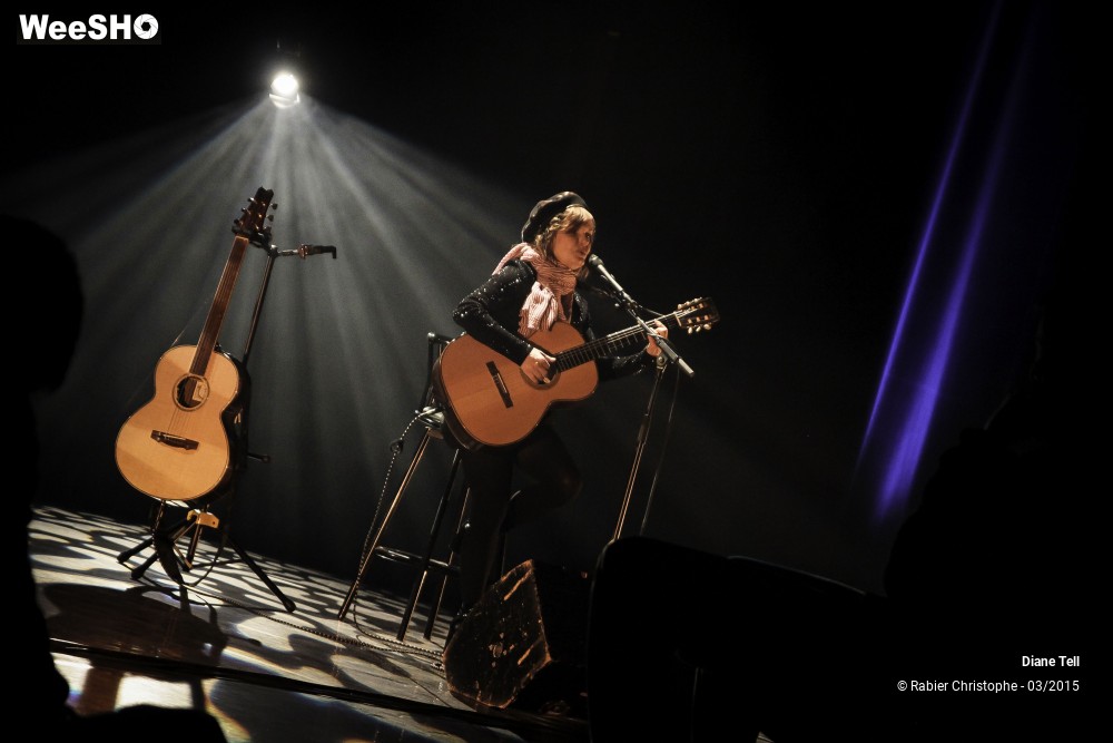 17/20 photos du spectacle Diane Tell
