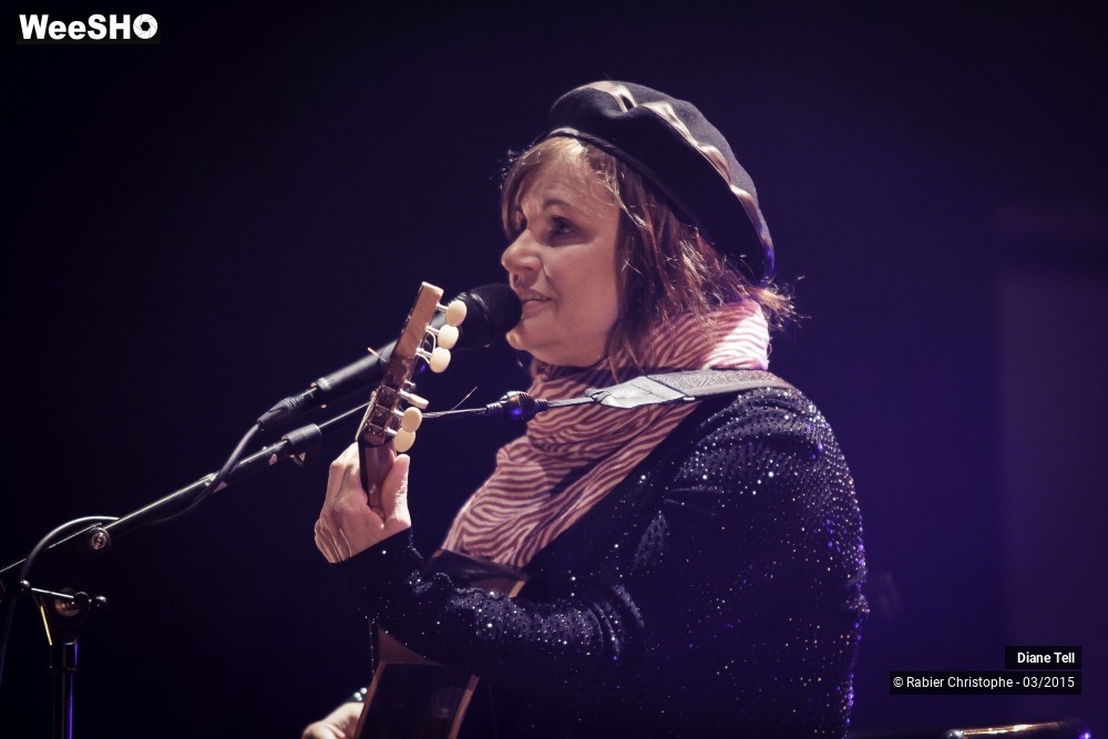18/20 photos du spectacle Diane Tell
