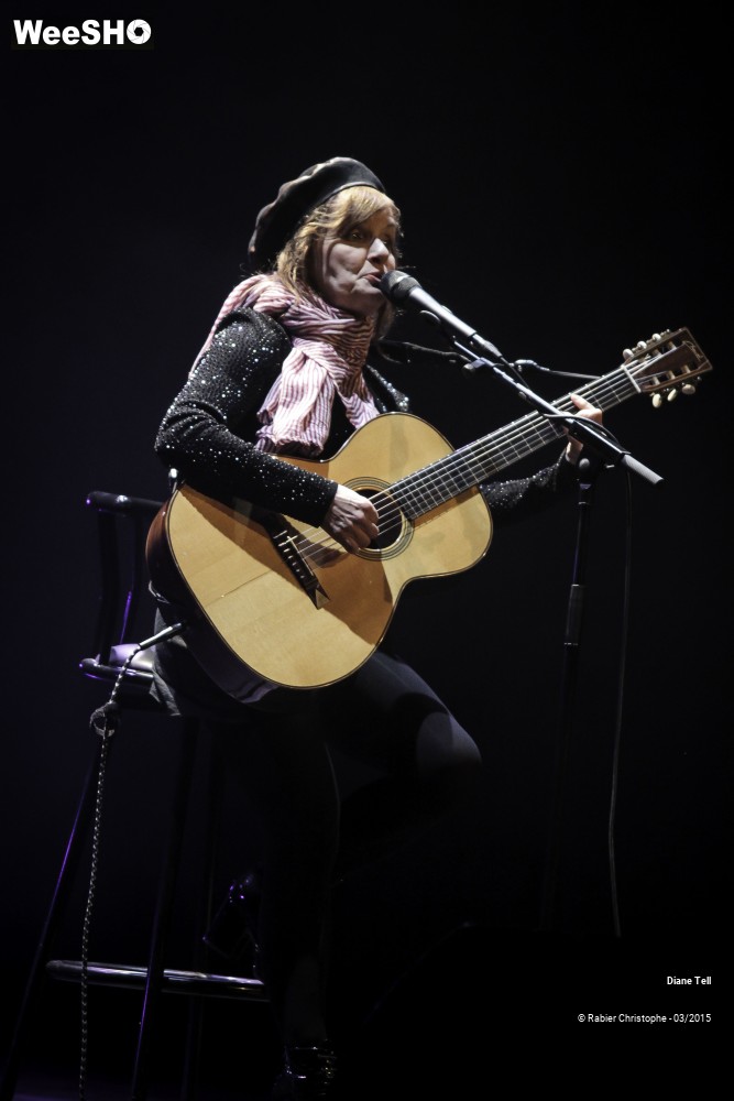 20/20 photos du spectacle Diane Tell