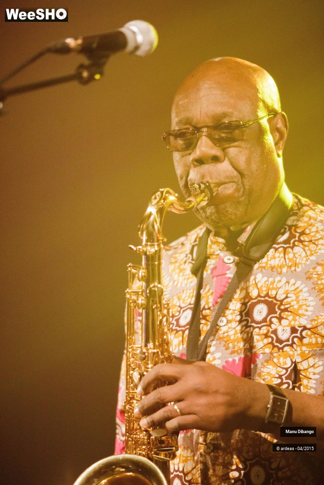 14/27 photos du spectacle Manu Dibango