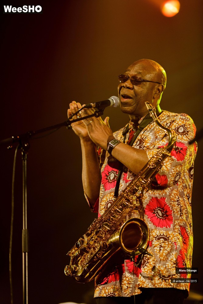 19/27 photos du spectacle Manu Dibango