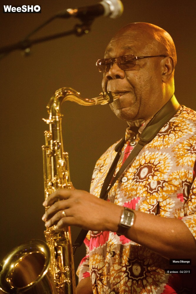 22/27 photos du spectacle Manu Dibango