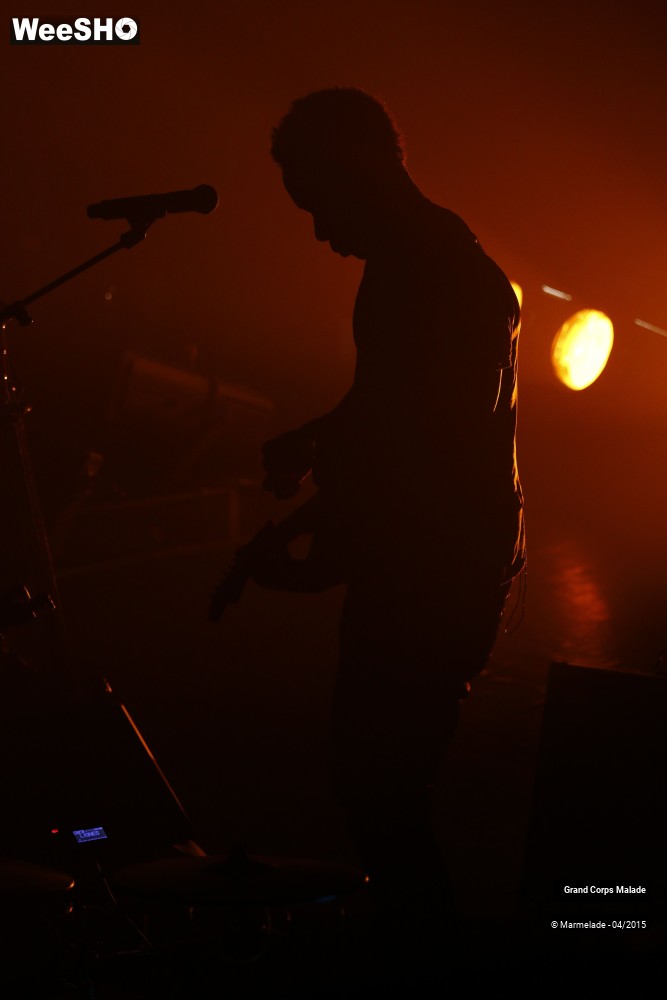 14/44 photos du spectacle Grand Corps Malade