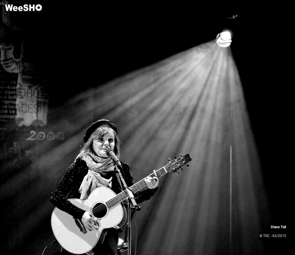 1/11 photos du spectacle Diane Tell