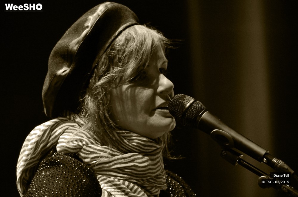 2/11 photos du spectacle Diane Tell