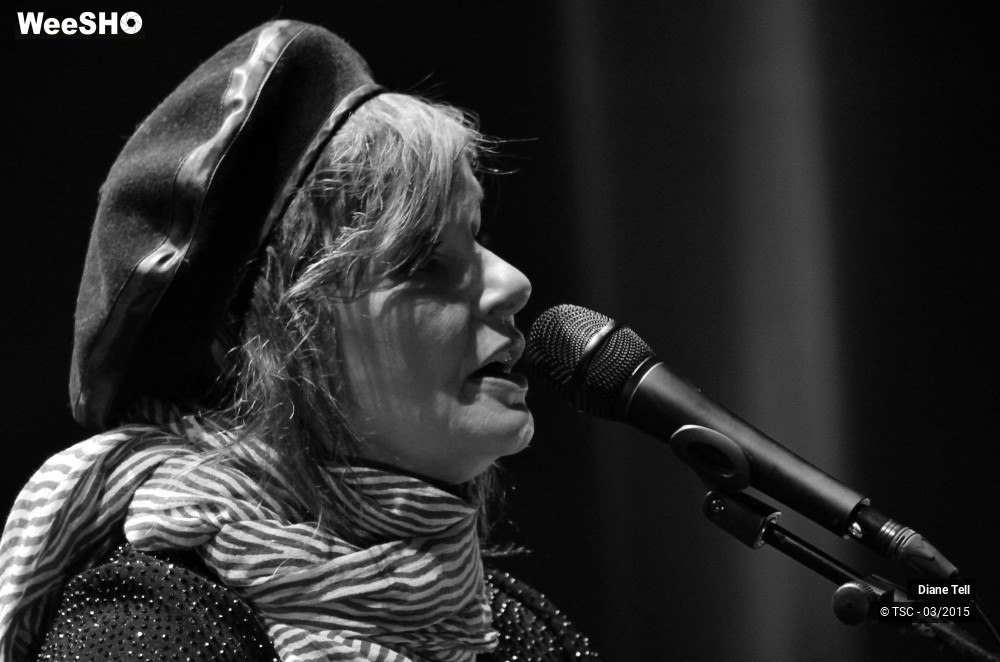 3/11 photos du spectacle Diane Tell