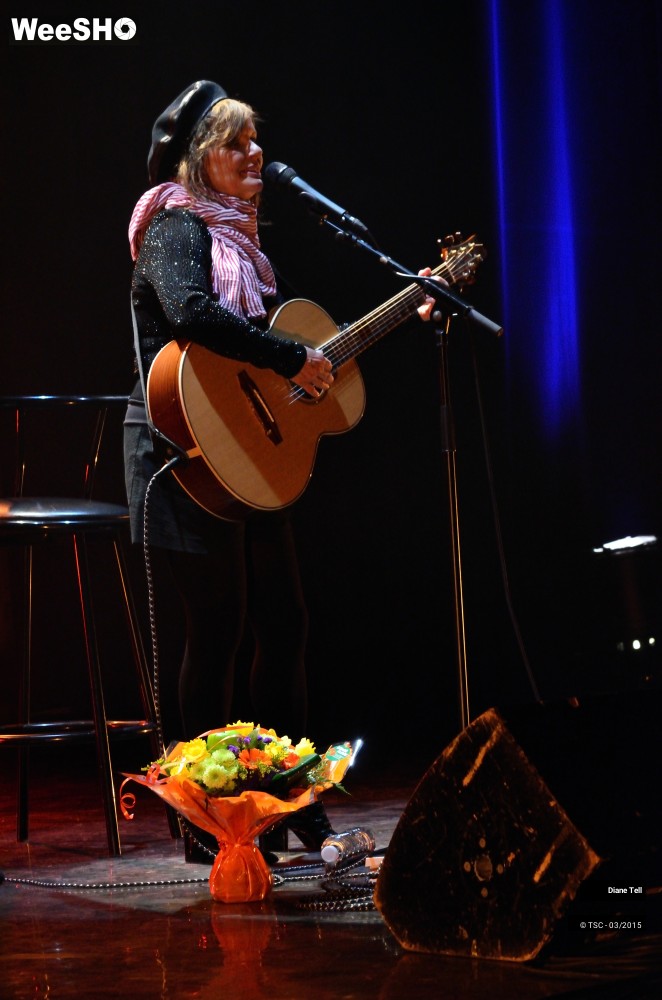 5/11 photos du spectacle Diane Tell