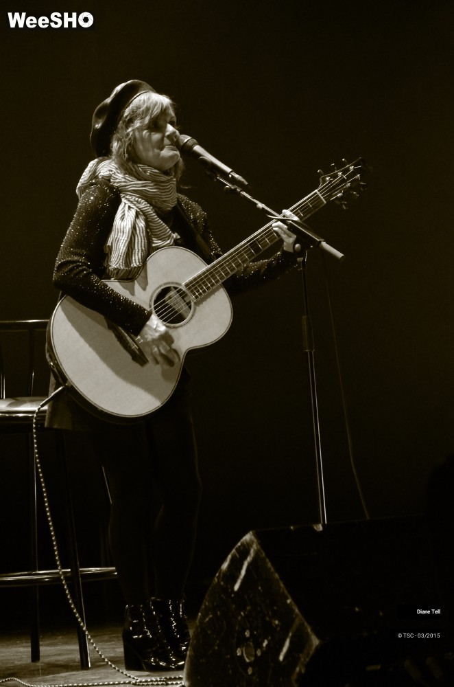 8/11 photos du spectacle Diane Tell