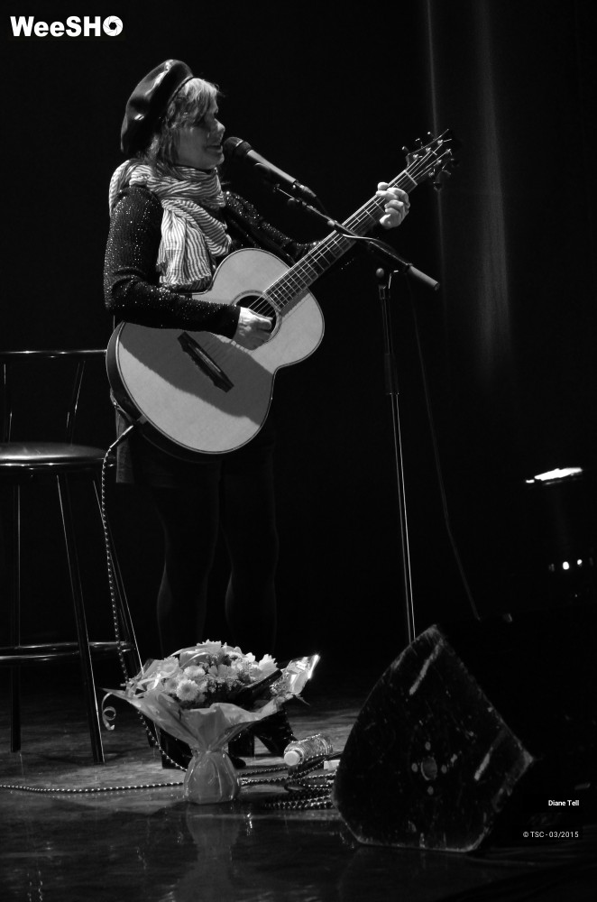 10/11 photos du spectacle Diane Tell