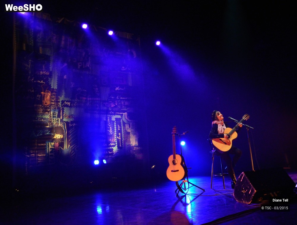 11/11 photos du spectacle Diane Tell