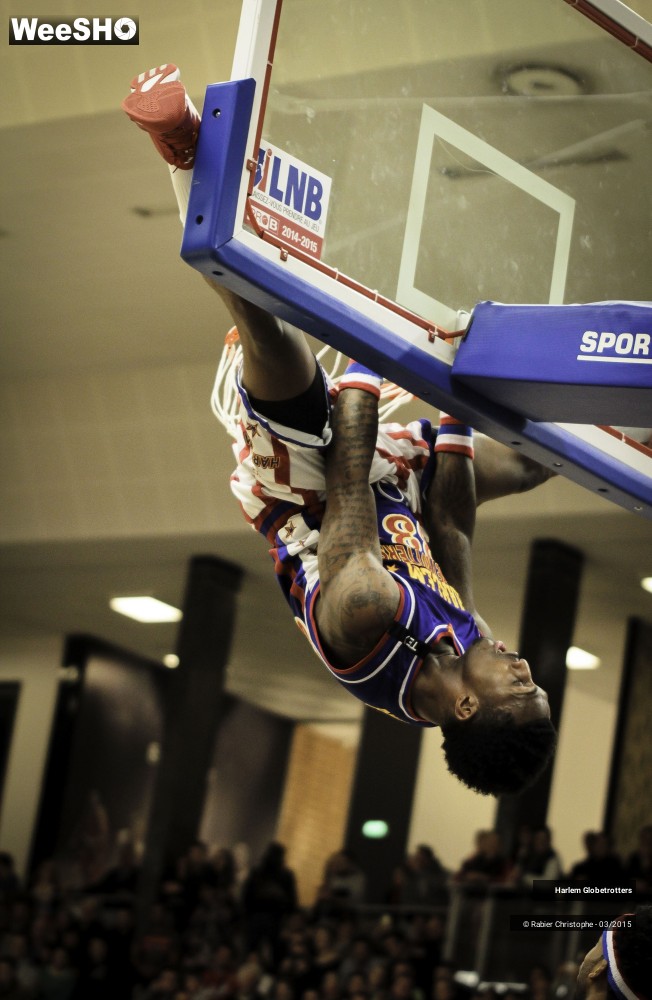 18/46 photos du spectacle Les Harlem Globetrotters