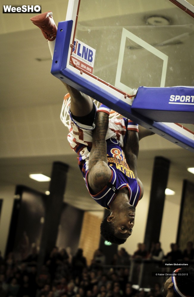 24/46 photos du spectacle Les Harlem Globetrotters