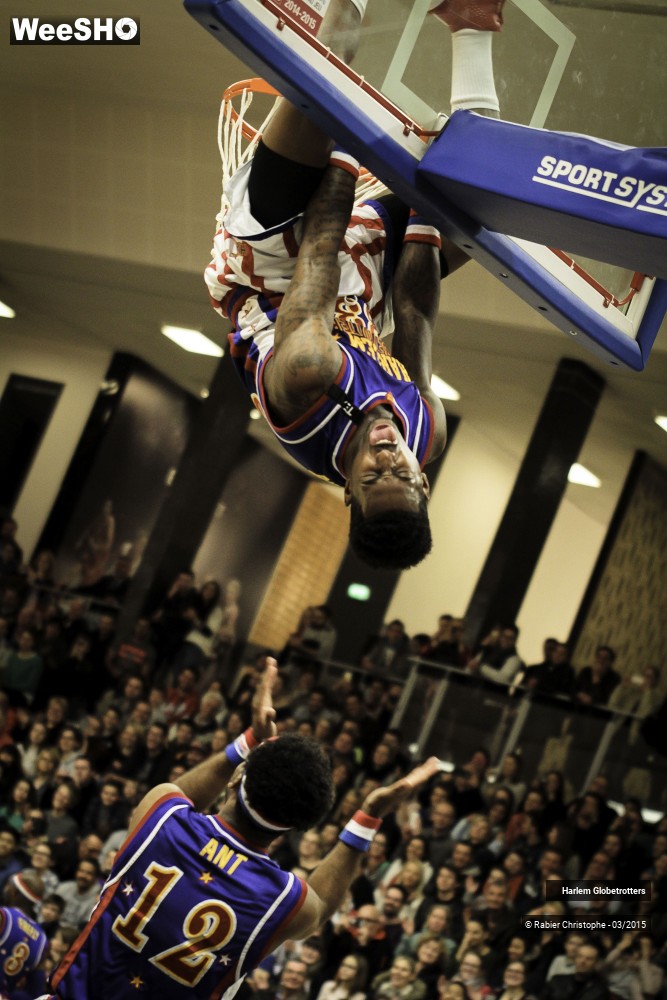 33/46 photos du spectacle Les Harlem Globetrotters