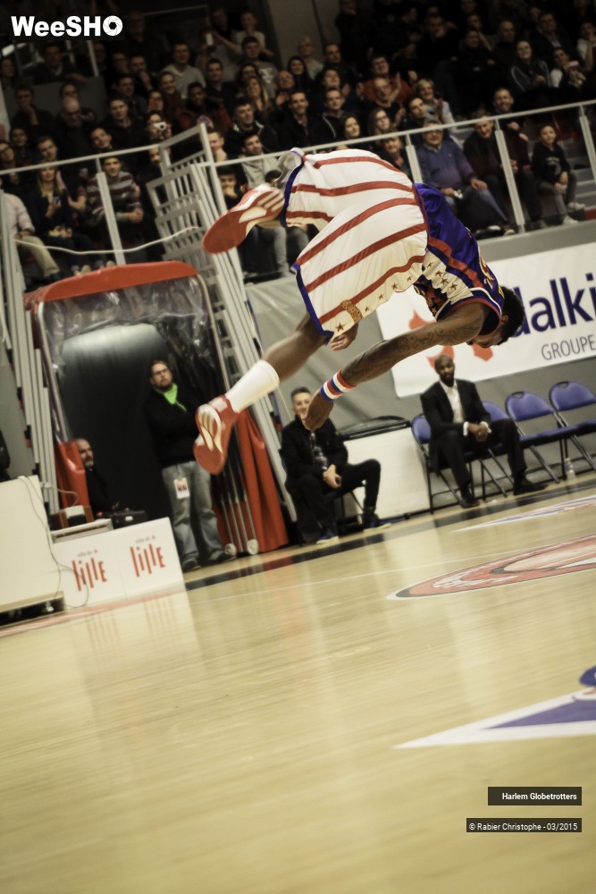 39/46 photos du spectacle Les Harlem Globetrotters