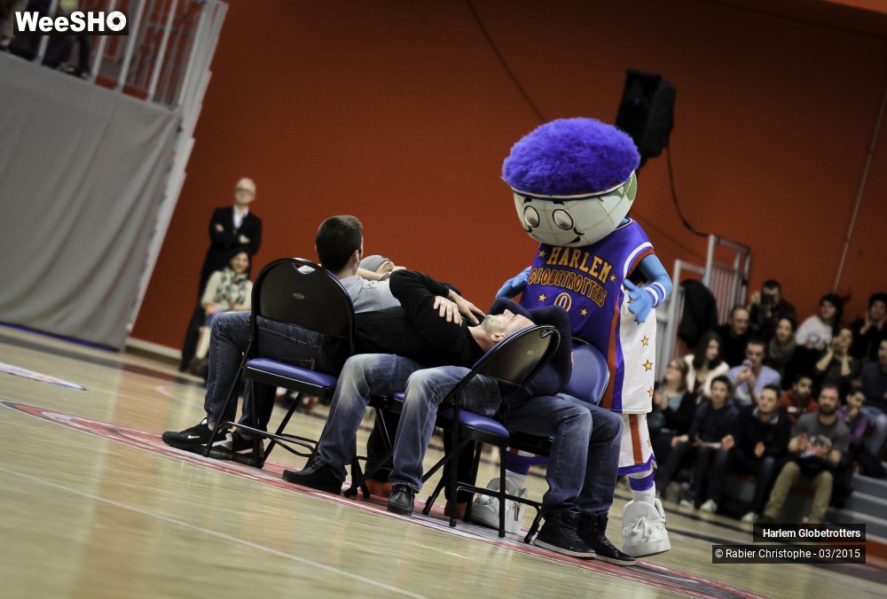 44/46 photos du spectacle Les Harlem Globetrotters