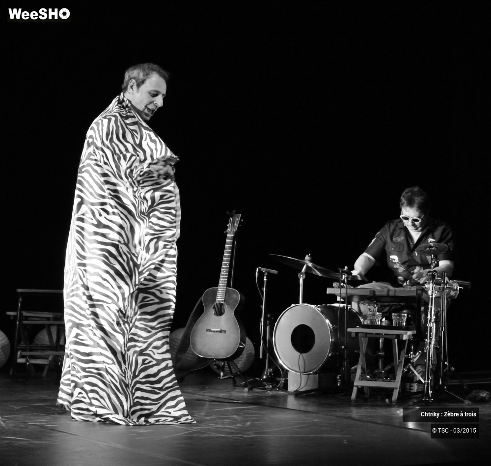 13/32 photos du spectacle Chtriky : Zèbre à trois