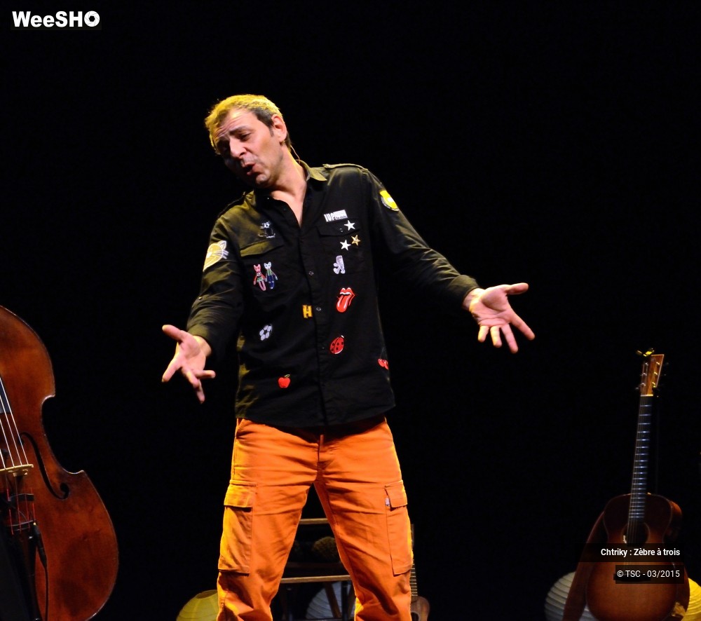 24/32 photos du spectacle Chtriky : Zèbre à trois