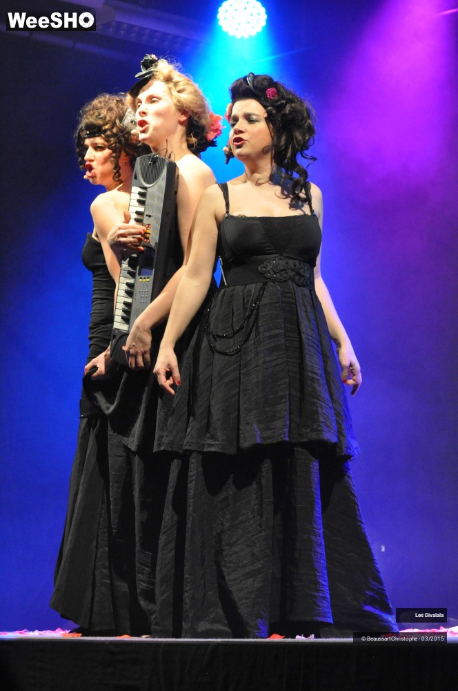 6/44 photos du spectacle Les Divalala