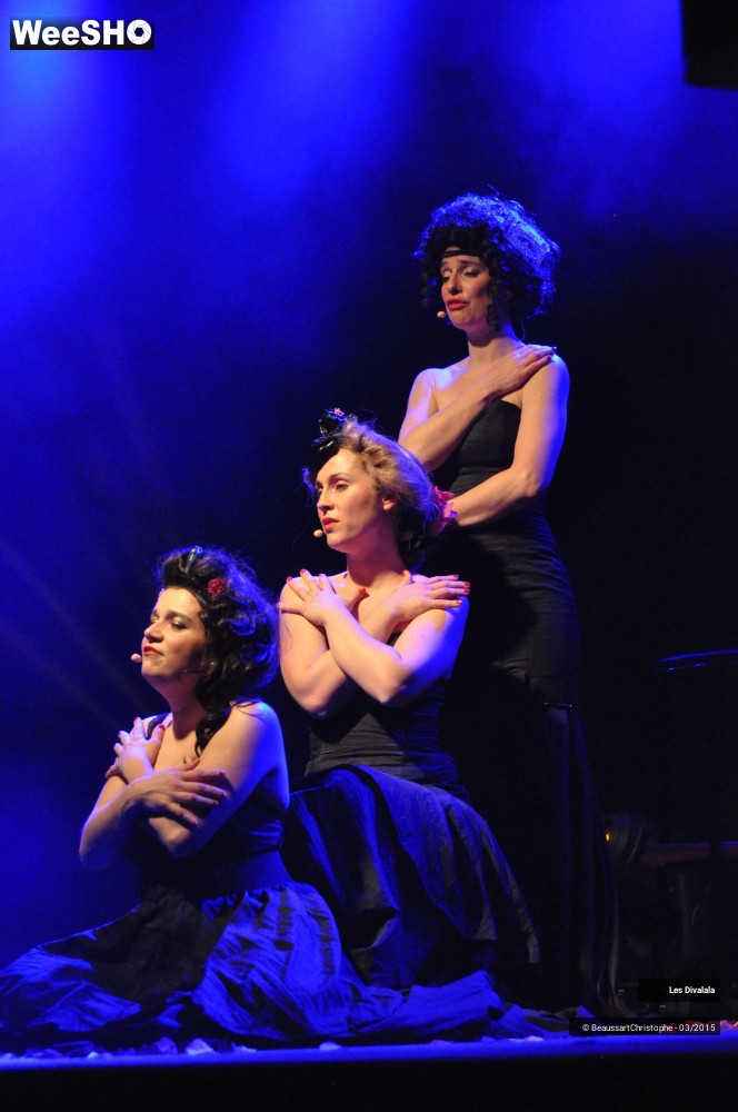 8/44 photos du spectacle Les Divalala