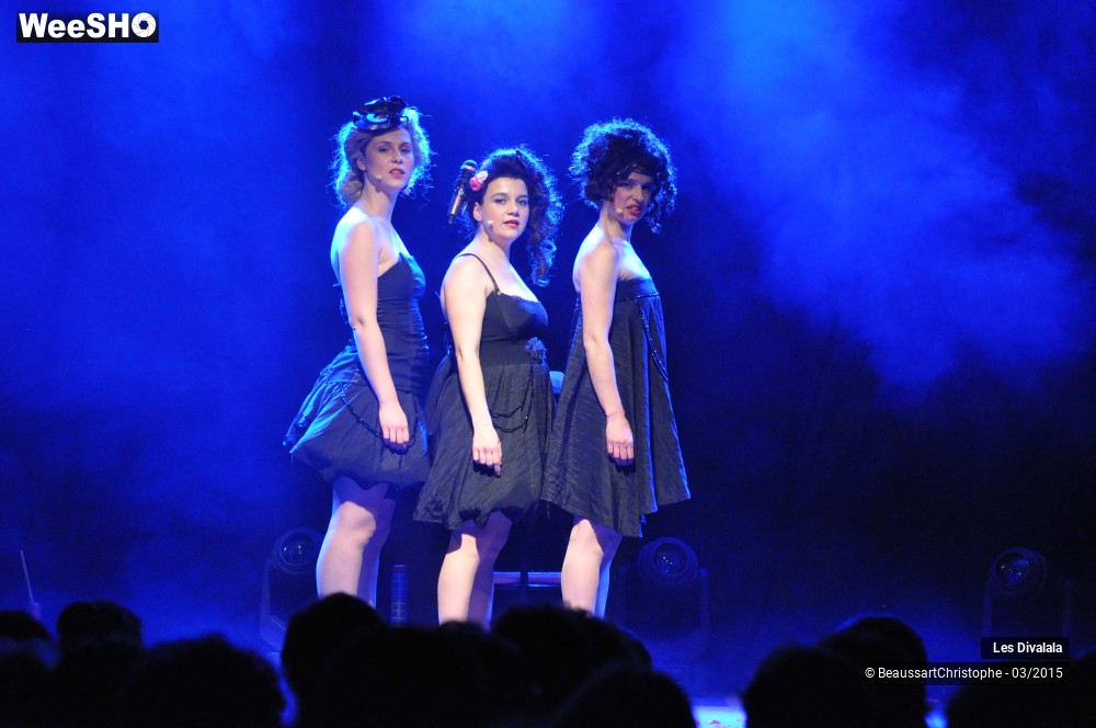 12/44 photos du spectacle Les Divalala