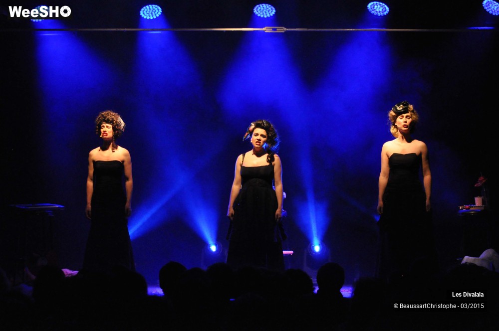 14/44 photos du spectacle Les Divalala