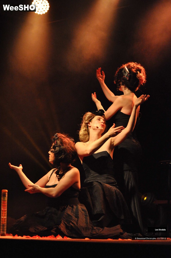18/44 photos du spectacle Les Divalala