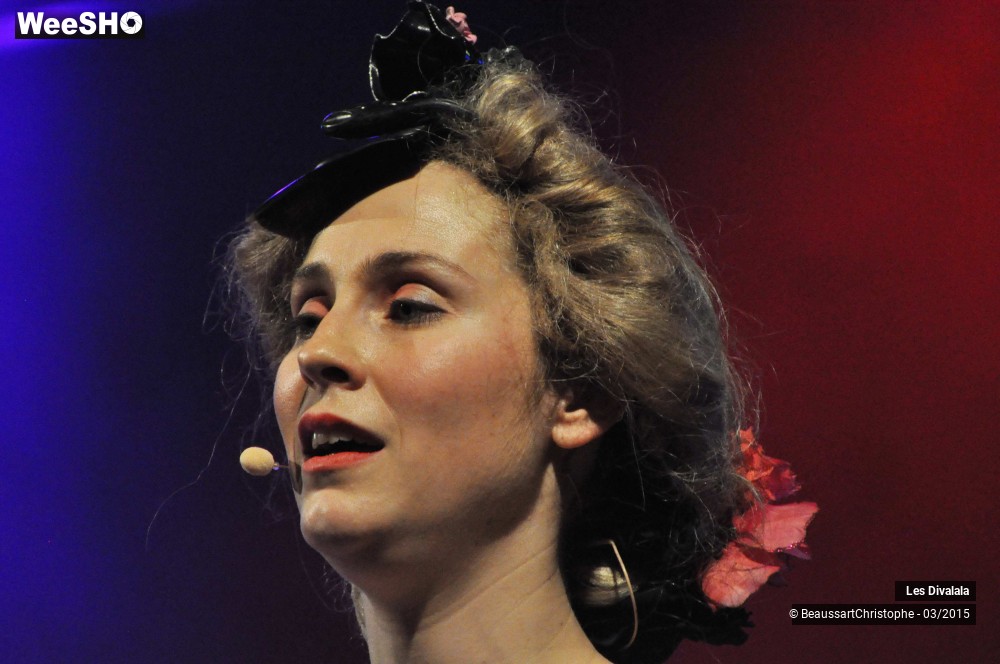 19/44 photos du spectacle Les Divalala